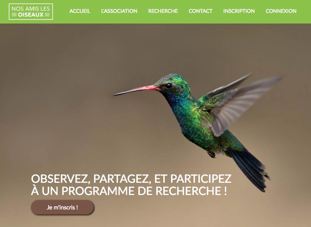 Capture d’écran header Nos amis les oiseaux