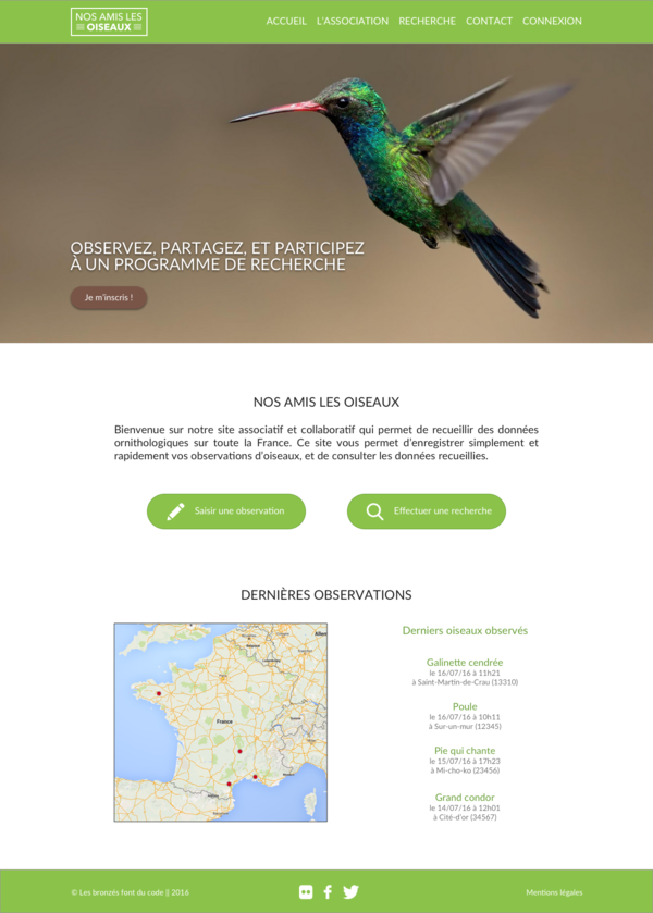 Charte graphique Nos amis les oiseaux